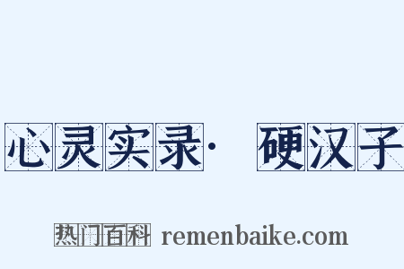 心灵实录·硬汉子是什么意思的图片